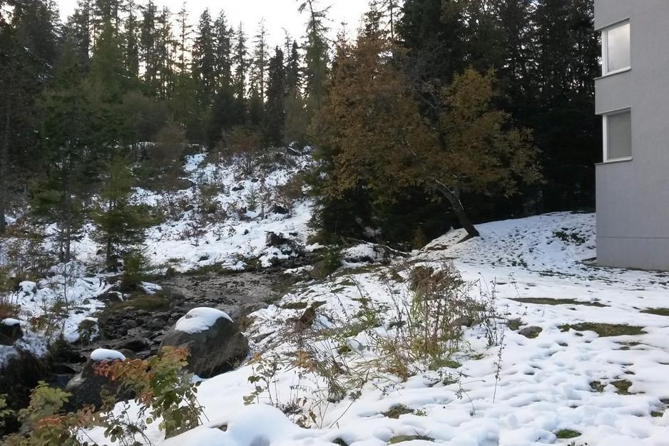 Celik Family Apartment Štrbské Pleso المظهر الخارجي الصورة